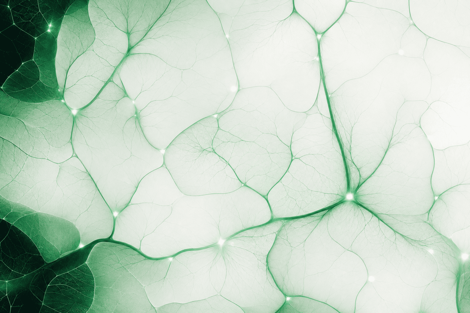 Interconnected leaf-vein cells with glowing nodes — distributed capacity